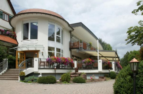Гостиница Hotel Ochsen, Хёфен-На-Энце